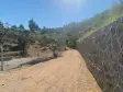 RAİON&#39;DAN İMAR PLANINA YAKIN MÜSTAKİL TAPULU SATILIK ZEYTİNLİK