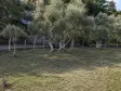 RAİON&#39;DAN İMAR PLANINA YAKIN MÜSTAKİL TAPULU SATILIK ZEYTİNLİK