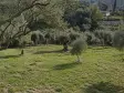 RAİON&#39;DAN İMAR PLANINA YAKIN MÜSTAKİL TAPULU SATILIK ZEYTİNLİK
