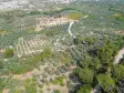 SELÇUK GÖKÇEALAN BURGAZ&#39;DA YOLA YAKIN TEK TAPU 5.392 m² TARLA