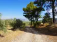 SELÇUK GÖKÇEALAN BURGAZ&#39;DA YOLA YAKIN TEK TAPU 5.392 m² TARLA