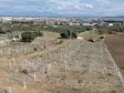 İZMİR DEREKÖYDE SATILIK 300 M2 TAPULU MERKEZE YAKIN ELEKTRİK SULU BAHÇE