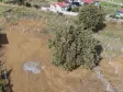 İZMİR DEREKÖYDE SATILIK 300 M2 TAPULU MERKEZE YAKIN ELEKTRİK SULU BAHÇE