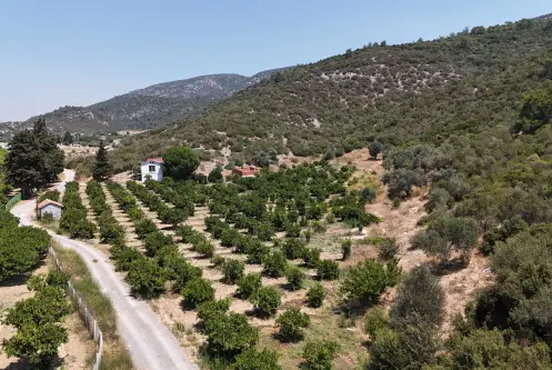 AHMETBEYLİDE SATILIK TEKTAPU 10.400 M2 SAHİLE YAKIN ÇİFTLİK VE BAHÇE