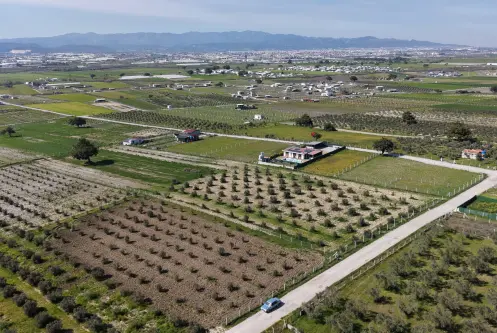 İZMİR TEKELİDE SATILIK TAPULU 170 M2 ASFALT CEPHE MANZARALI ZEYTİNLİ BAHÇELER