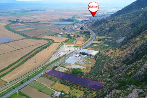 SAZLI&#39;DA İMARLI ZEYTİNLİK, BESİ ÇİFTLİĞİ VE TAŞ EVLİ FIRSAT