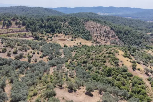 İZMİR YENİKÖYDE SATILIK TEKTAPU 9.050 M2 ANAYOLA KÖYE YAKIN KELEPİR ZEYTİNLİK
