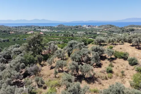 İZMİR ÖZDEREDE SATILIK DENİZ MANZARALI TEKTAPU 1.961 M2 YATIRIMLIK BAHÇE