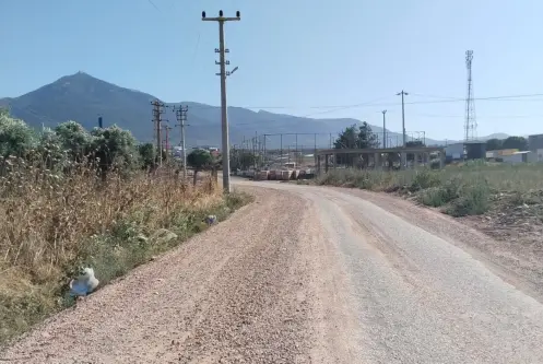 Emlak Atölyesinden Armutlu&#39;da Satılık 6056 M2 Tek Tapu Zeytinlik