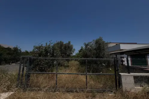 İpek Koldemir’den Urla Kalabak’ta Satılık 1463 M2 Arazi