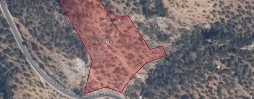 ŞİRİNCE&#39;DE 9.870 m² YATIRIM DEĞERİ YÜKSEK SATILIK ZEYTİNLİK