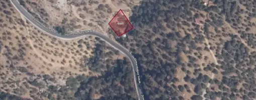 ŞİRİNCEDE YOLA CEPHELİ 590 m² SATILIK ZEYTİNLİK