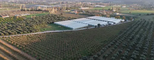 URLA BADEMLER AZMAK KOYU ARASINDA SATILIK 252 M2 SAHİLE 4 DK MESAFEDE HARİKA BAHÇELER