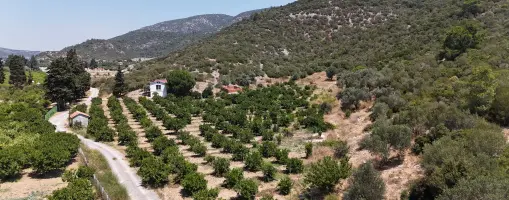 AHMETBEYLİDE SATILIK TEKTAPU 10.400 M2 SAHİLE YAKIN ÇİFTLİK VE BAHÇE