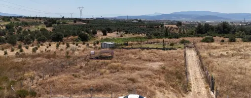 İZMİR YENİ BULGURCADA SATILIK 910 M2 KÖYE YAKIN TAPULU KÖŞE PARSEL