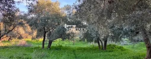 KUYUCAK PAMUKÖREN MAHALLESİNDE SATILIK İMARLI ARSA