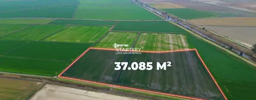 GÜLLÜBAHÇE&#39;DE 37.085 M2 SATILIK TARLA