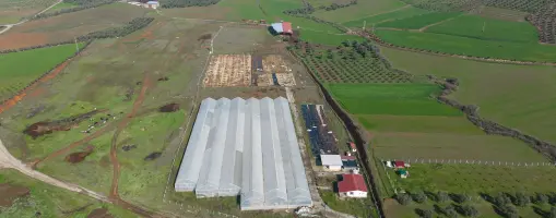 İZMİR BAYINDIR’DA SATILIK TARLA VE TOPRAKSIZ ÇİLEK SERASI