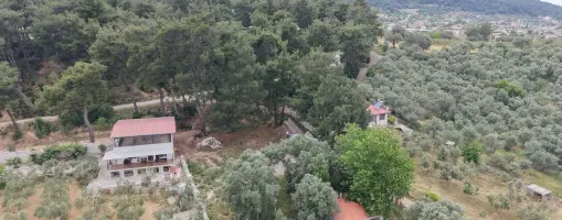ATAKÖYDE SATILIK TEKTAPU 1.000 M2 KÖY KENARI ARSA GİBİ BAHÇE