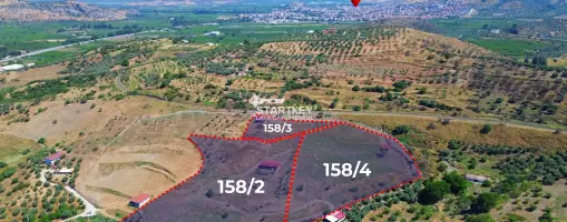 SELÇUK ACARLAR MEVKİİ&#39;NDE MUHTEŞEM MANZARALI VERİMLİ ZEYTİNLİK