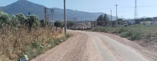 Emlak Atölyesinden Armutlu&#39;da Satılık 6056 M2 Tek Tapu Zeytinlik