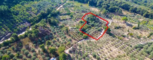 SELÇUK GÖKÇEALAN BURGAZ&#39;DA YOLA YAKIN TEK TAPU 5.392 m² TARLA