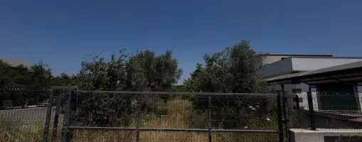 İpek Koldemir’den Urla Kalabak’ta Satılık 1463 M2 Arazi