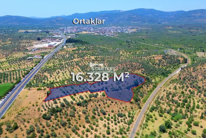 GERMENCİK&#39;TE YATIRIMA VE TARIMA UYGUN SATILIK İNCİR TARLASI