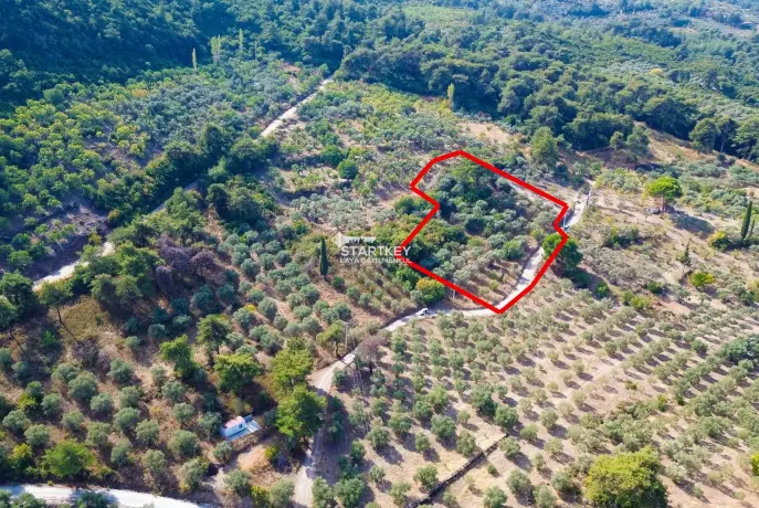 SELÇUK GÖKÇEALAN BURGAZ&#39;DA YOLA YAKIN TEK TAPU 5.392 m² TARLA