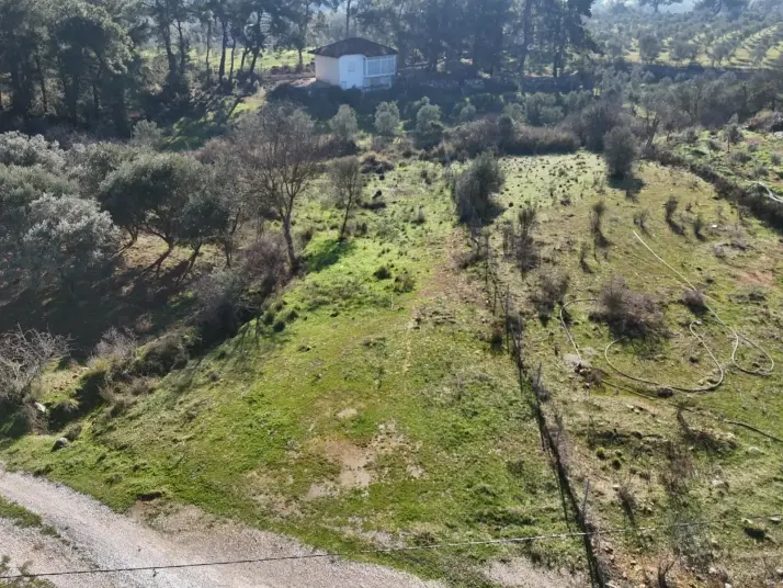 MENDERES ATAKÖY TEK TAPU 1.067 M2 MÜSTAKİL 