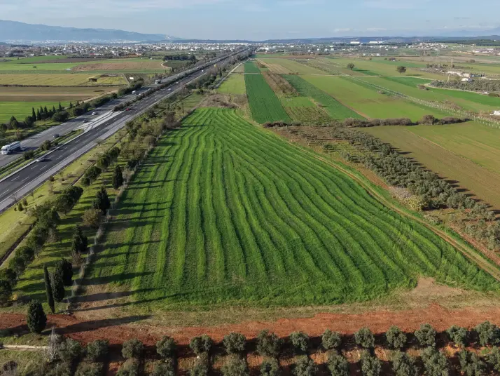 İZMİR HAVAALANINA VE İMARA YAKIN SATILIK TEKTAPU 1.400 M2 YATIRIMLIK ARAZİ