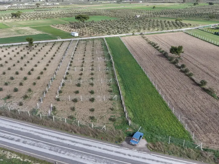 TEKELİDE ANAYOL CEPHELİ SATILIK TAPULU 260 M2 İZBANA YAKIN BAHÇELER