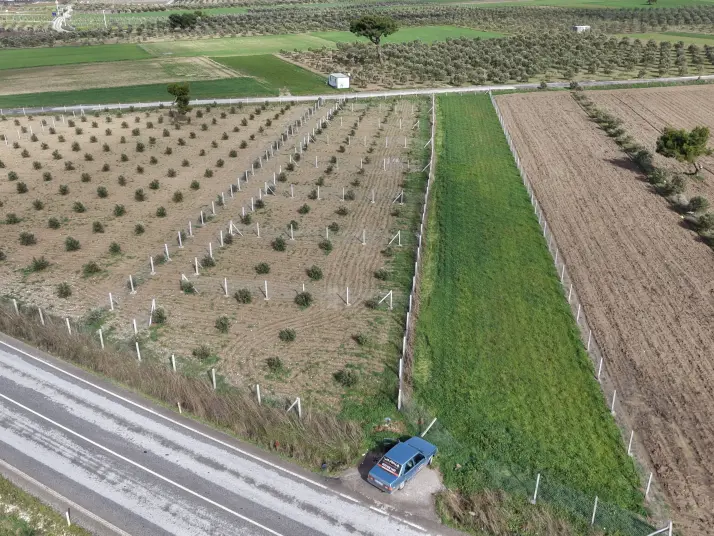 TEKELİDE ANAYOL CEPHELİ SATILIK TAPULU 260 M2 İZBANA YAKIN BAHÇELER
