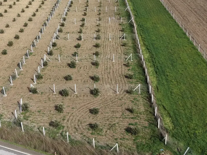 TEKELİDE ANAYOL CEPHELİ SATILIK TAPULU 260 M2 İZBANA YAKIN BAHÇELER