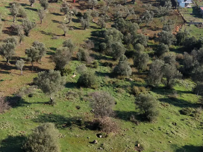 MENDERES AKÇAKÖYDE SATILIK TEKTAPU 3.160 M2 FULL MANZARALI YATIRIMLIK ARAZİ