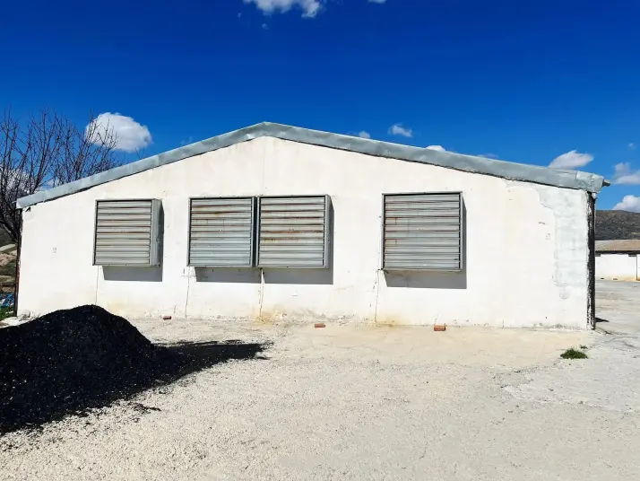 Manisa Alaşehir ‘ de uygun fiyata 30000 kapasiteli Satılık Tavuk Çiftliği