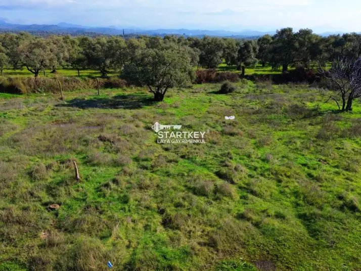 ORTAKLAR&#39;DA 575 M2 SATILIK İMARLI ARSA