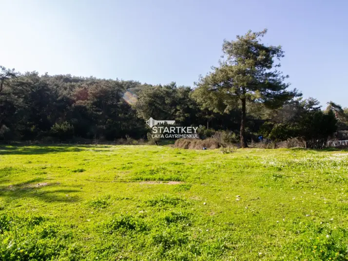 GÜZELÇAMLI’DA PANAROMİK DENİZ MANZARALI YATIRIM FIRSATI