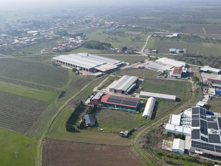Manisa Saruhanlı HACIRAHMANLI da SATILIK 2100 M2 İmarlı ARSA