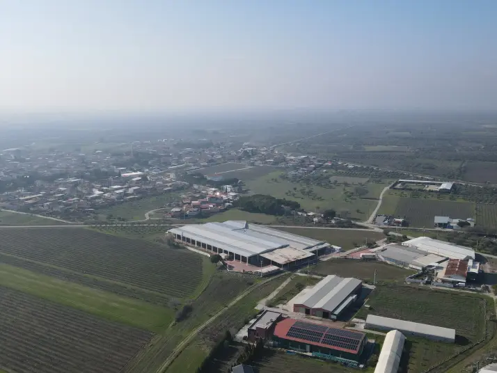 Manisa Saruhanlı HACIRAHMANLI da SATILIK 2100 M2 İmarlı ARSA