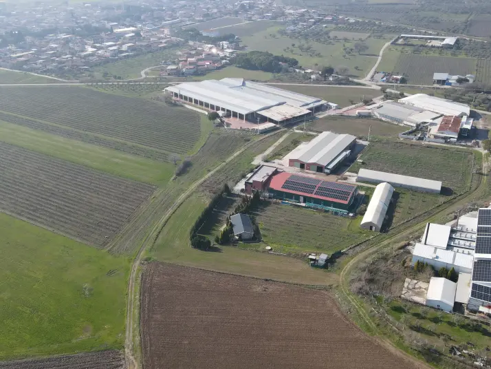 Manisa Saruhanlı HACIRAHMANLI da SATILIK 2100 M2 İmarlı ARSA