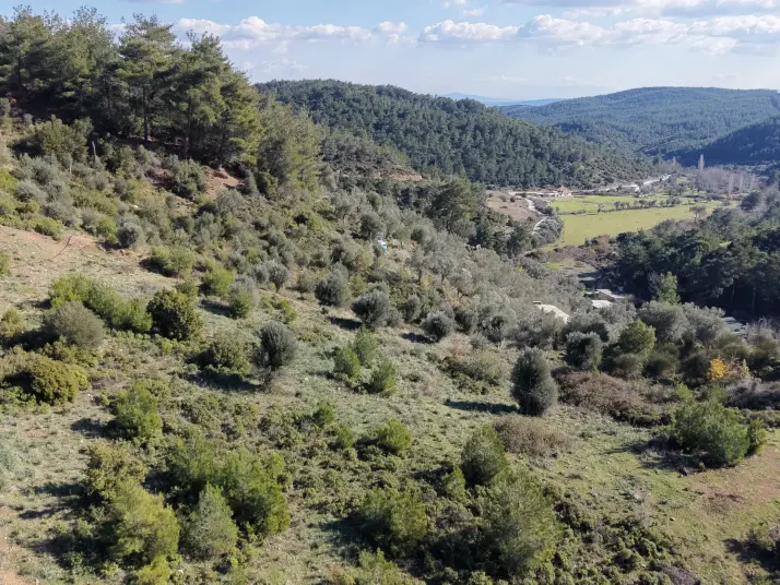 ÇATALCADA SATILIK TEKTAPU 20.000 M2 GAZİEMİRE 10 DK MESAFEDE KELEPİR ARAZİ