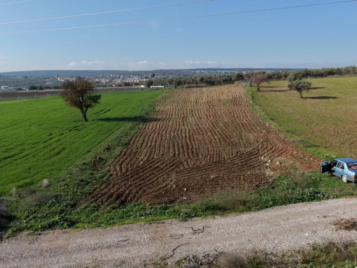 MENDERESTE SATILIK TEKTAPU 2.500 M2 PANCAR SANAYİ İMAR DİBİNDE BAHÇE