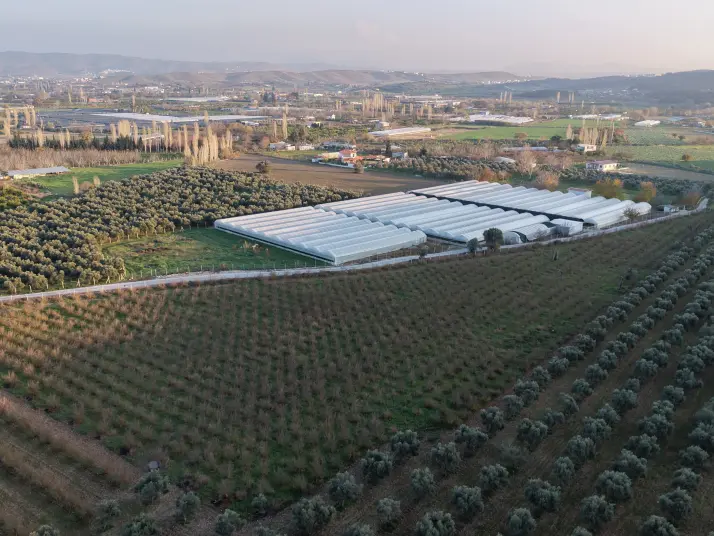 URLA BADEMLER AZMAK KOYU ARASINDA SATILIK 252 M2 SAHİLE 4 DK MESAFEDE HARİKA BAHÇELER