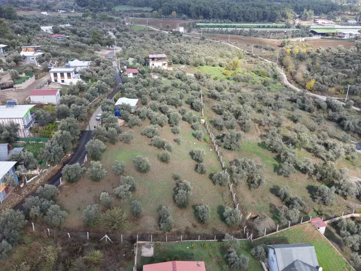 İZMİR ATAKÖYDE SATILIK 4.000 M2 TEKTAPU İÇERİSİNDE 2 EV OLAN ZEYTİNLİK