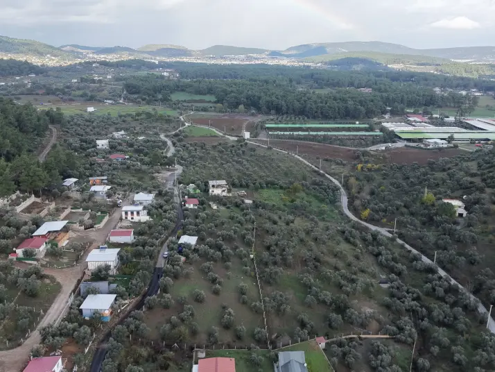 İZMİR ATAKÖYDE SATILIK 4.000 M2 TEKTAPU İÇERİSİNDE 2 EV OLAN ZEYTİNLİK