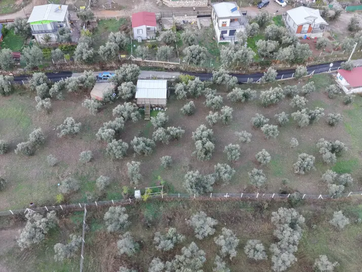 İZMİR ATAKÖYDE SATILIK 4.000 M2 TEKTAPU İÇERİSİNDE 2 EV OLAN ZEYTİNLİK