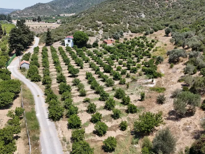 AHMETBEYLİDE SATILIK TEKTAPU 10.400 M2 SAHİLE YAKIN ÇİFTLİK VE BAHÇE