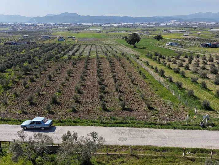 İZMİR TEKELİDE SATILIK TAPULU 170 M2 ASFALT CEPHE MANZARALI ZEYTİNLİ BAHÇELER