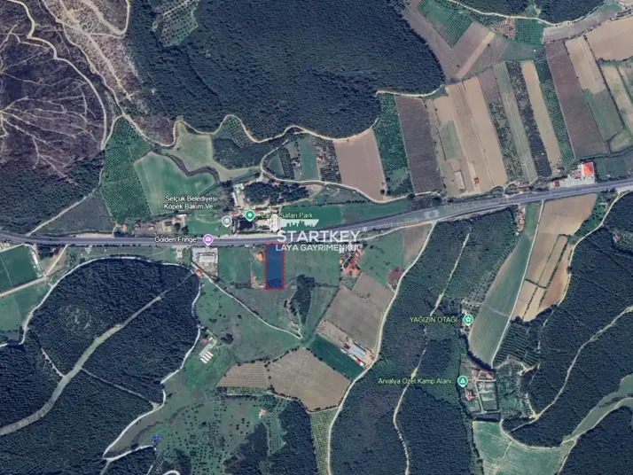 KUŞADASI-SELÇUK KARAYOLUNA CEPHELİ 6.165 m² SATILIK TARLA